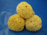 NATURAL SEA SPONGE